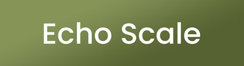 Echo Scale